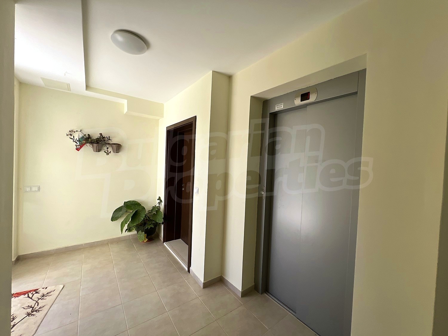 Gallery Picture 15