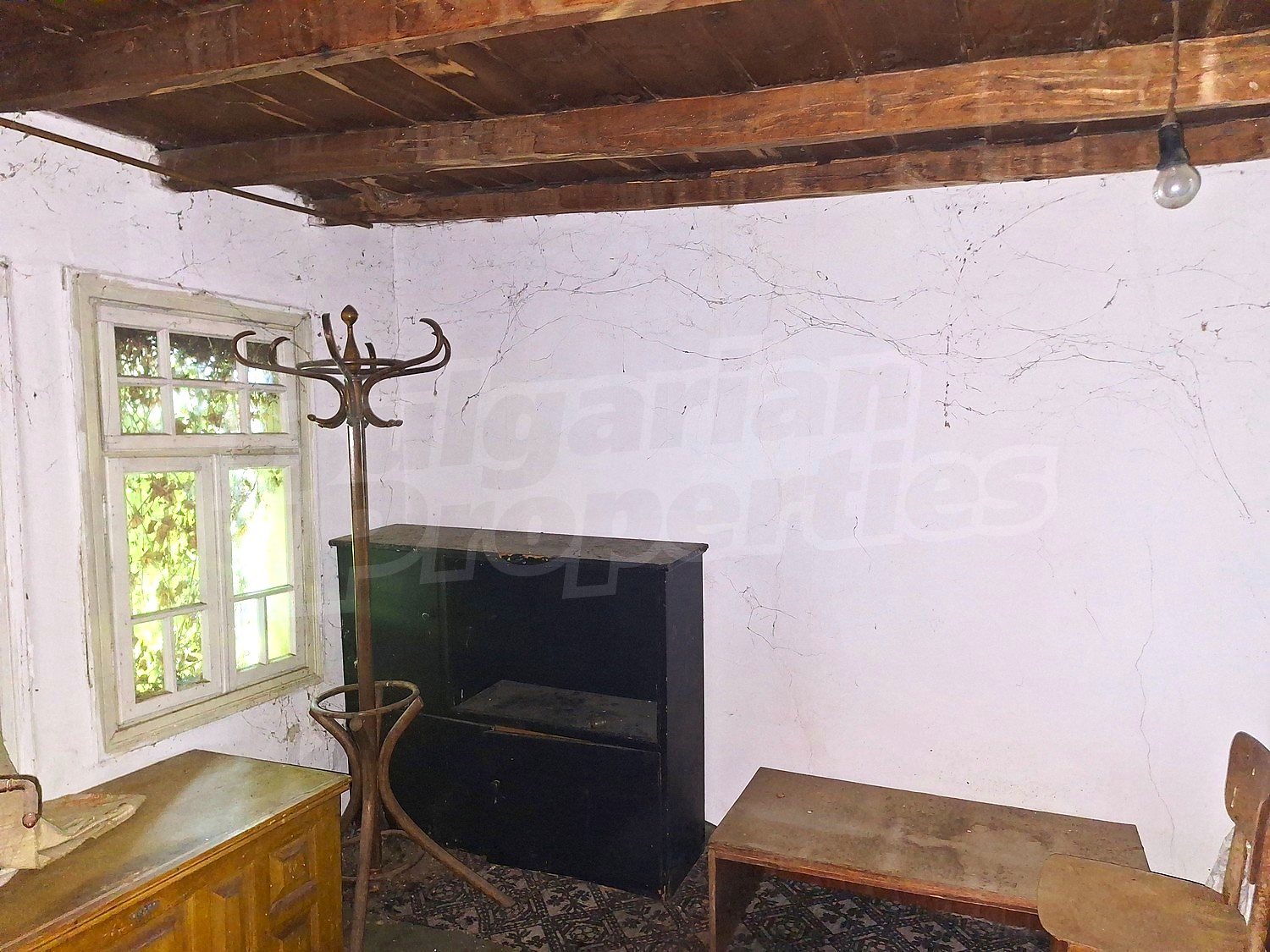 Gallery Picture 13
