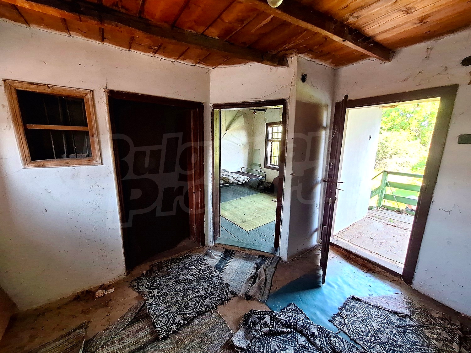 Gallery Picture 5