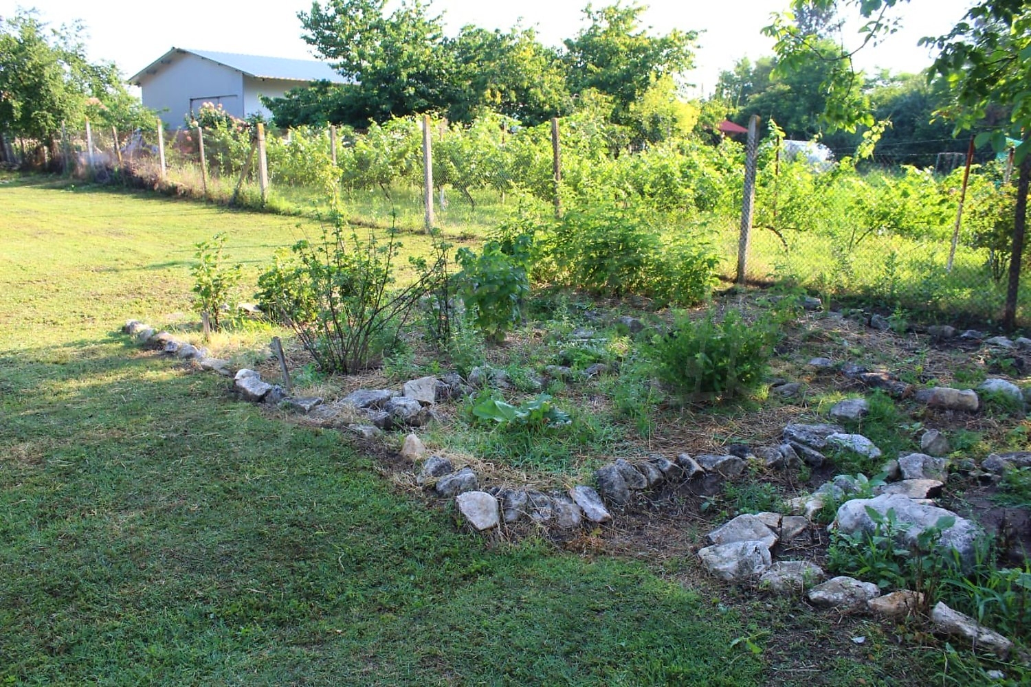 Gallery Picture 55