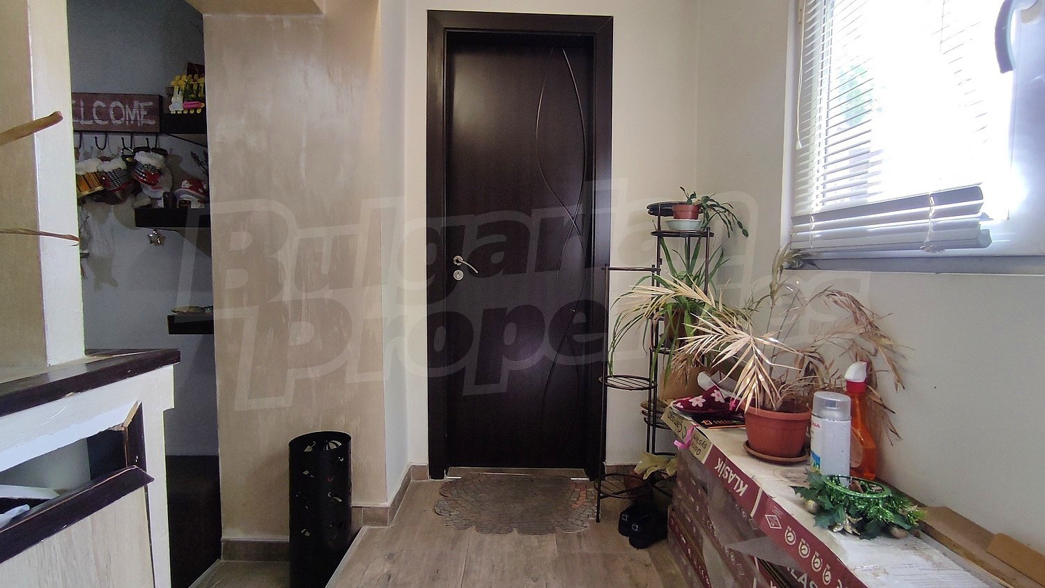 Gallery Picture 9