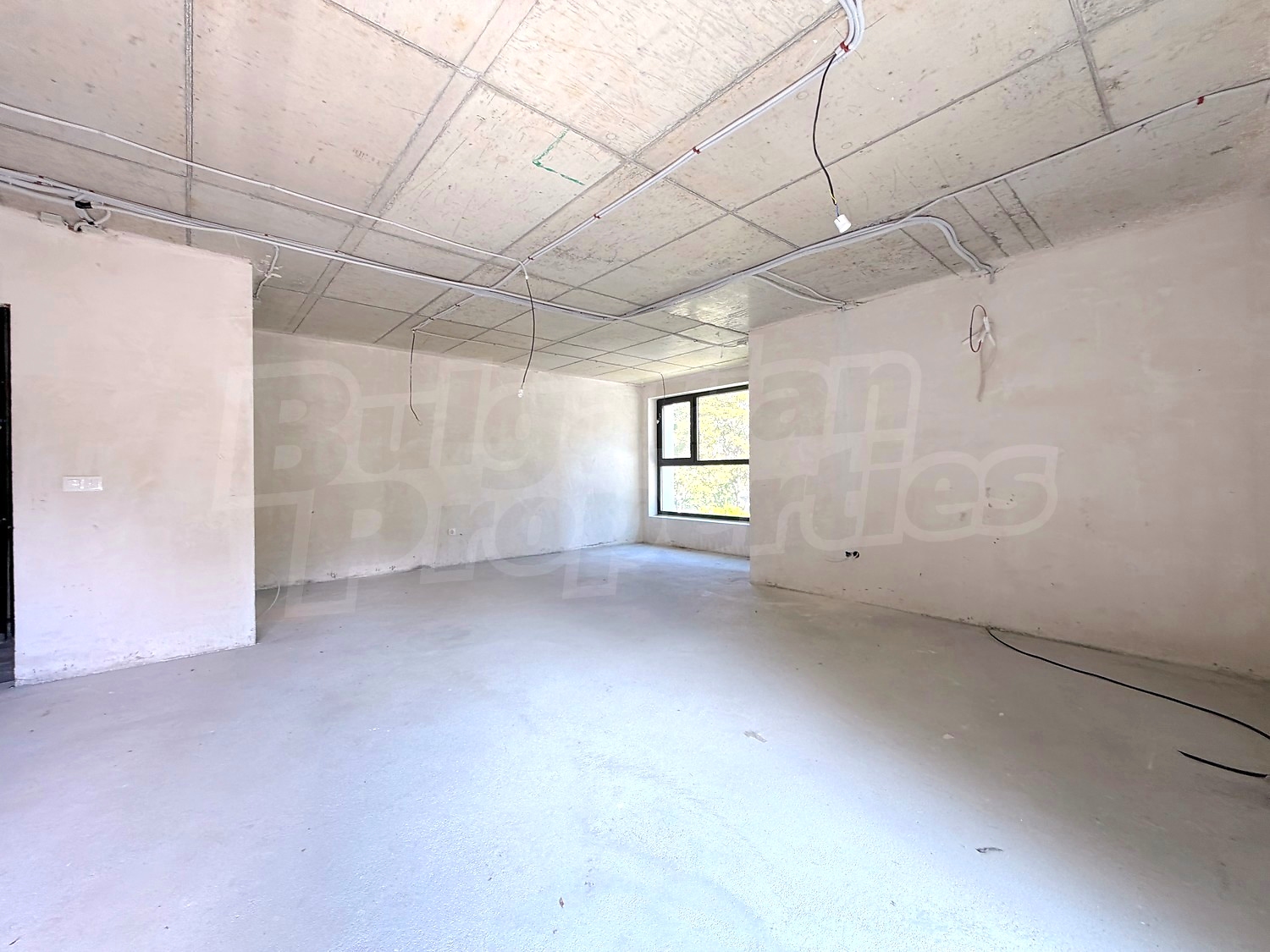 Gallery Picture 10