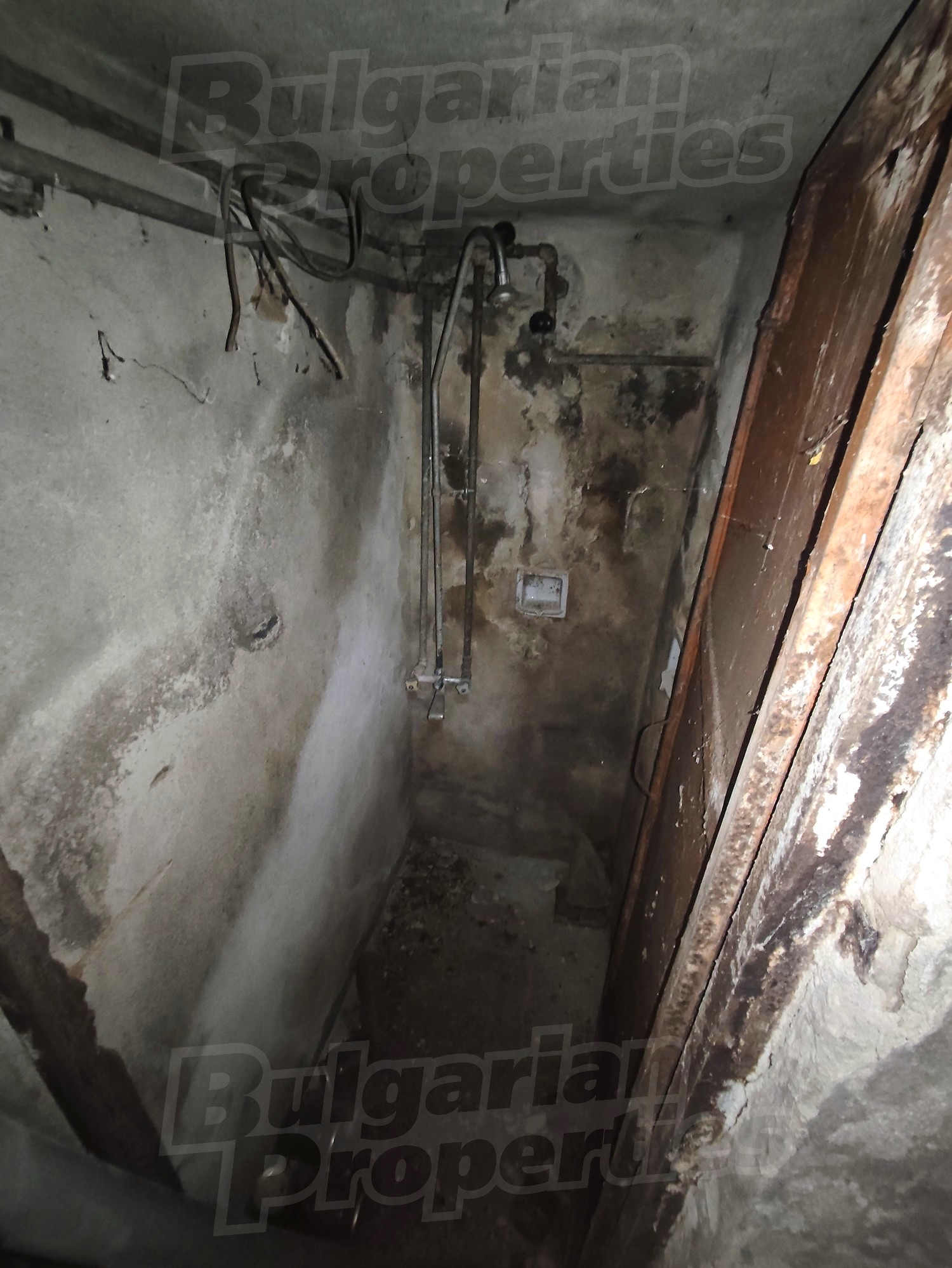 Gallery Picture 18