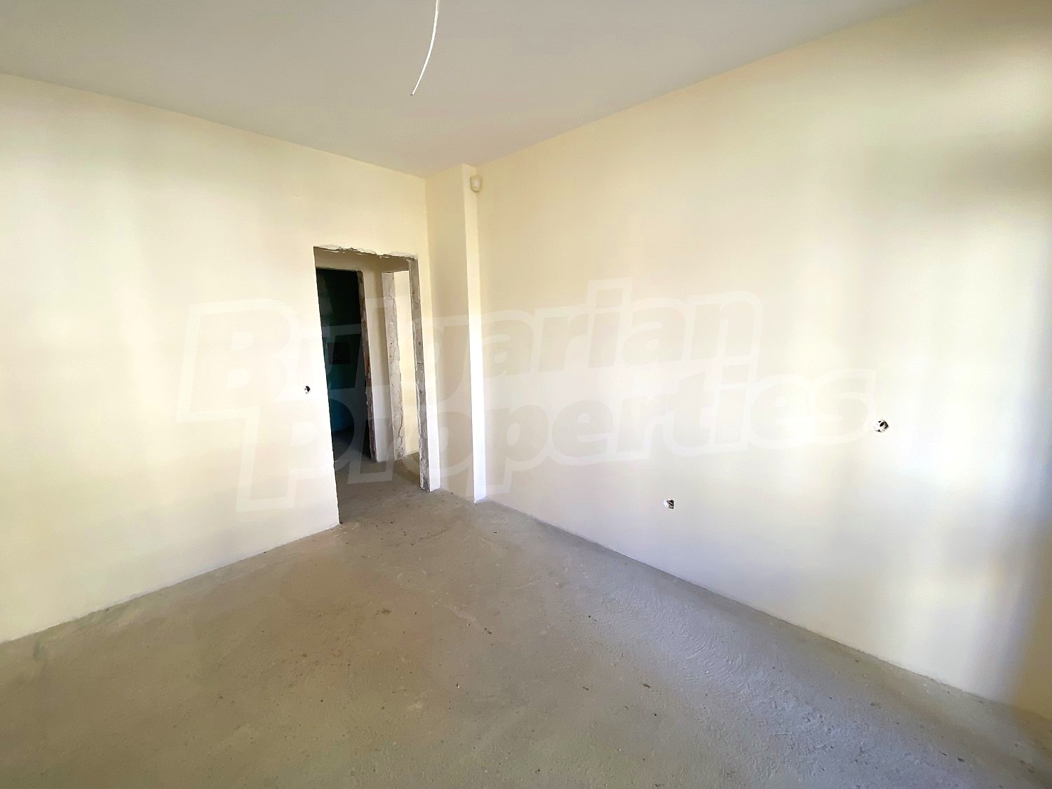 Gallery Picture 14