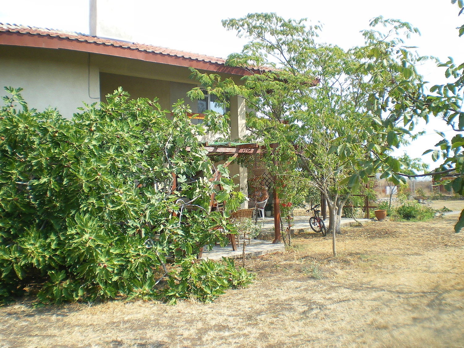 Gallery Picture 11