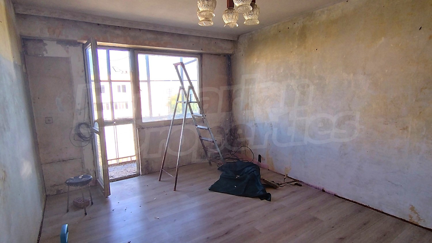 Gallery Picture 5