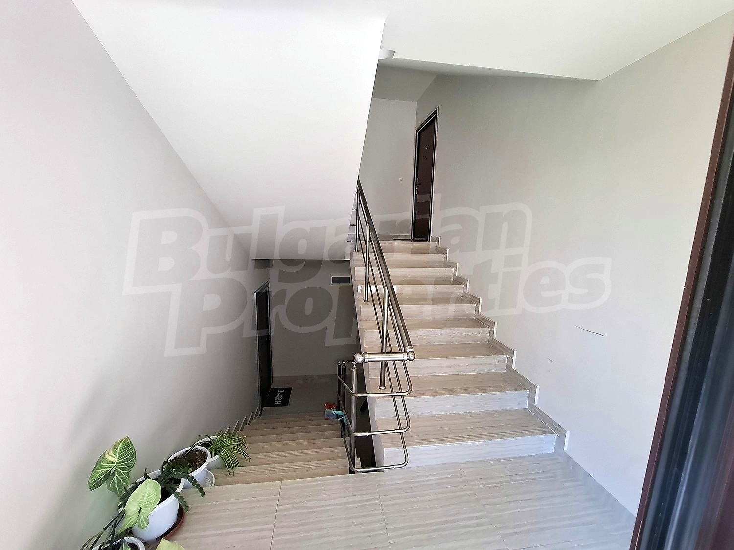Gallery Picture 8