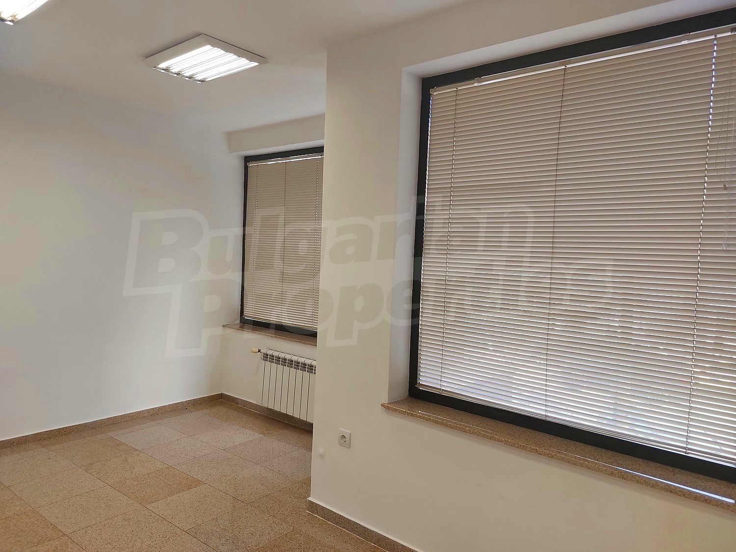 Gallery Picture 17