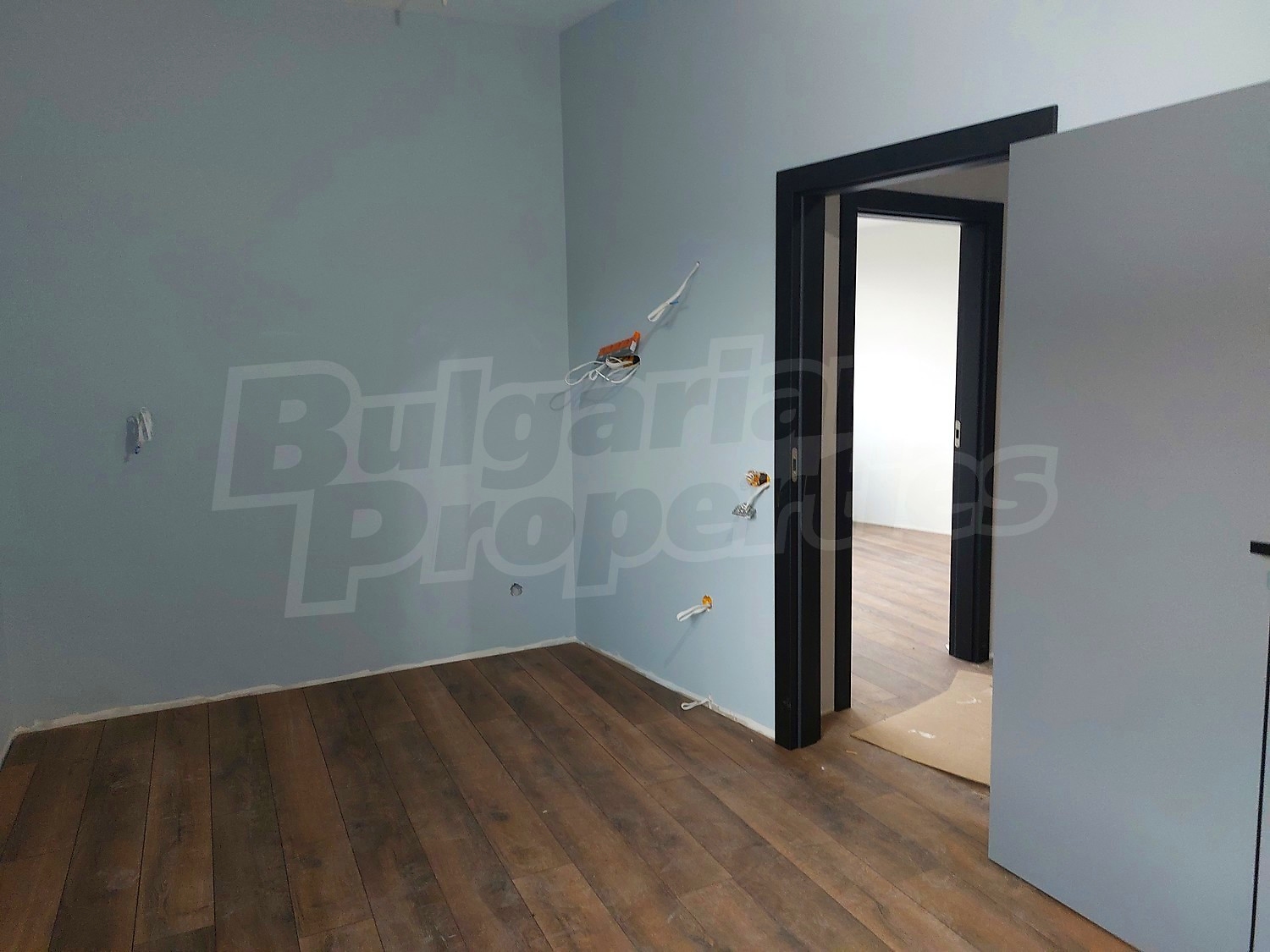 Gallery Picture 43