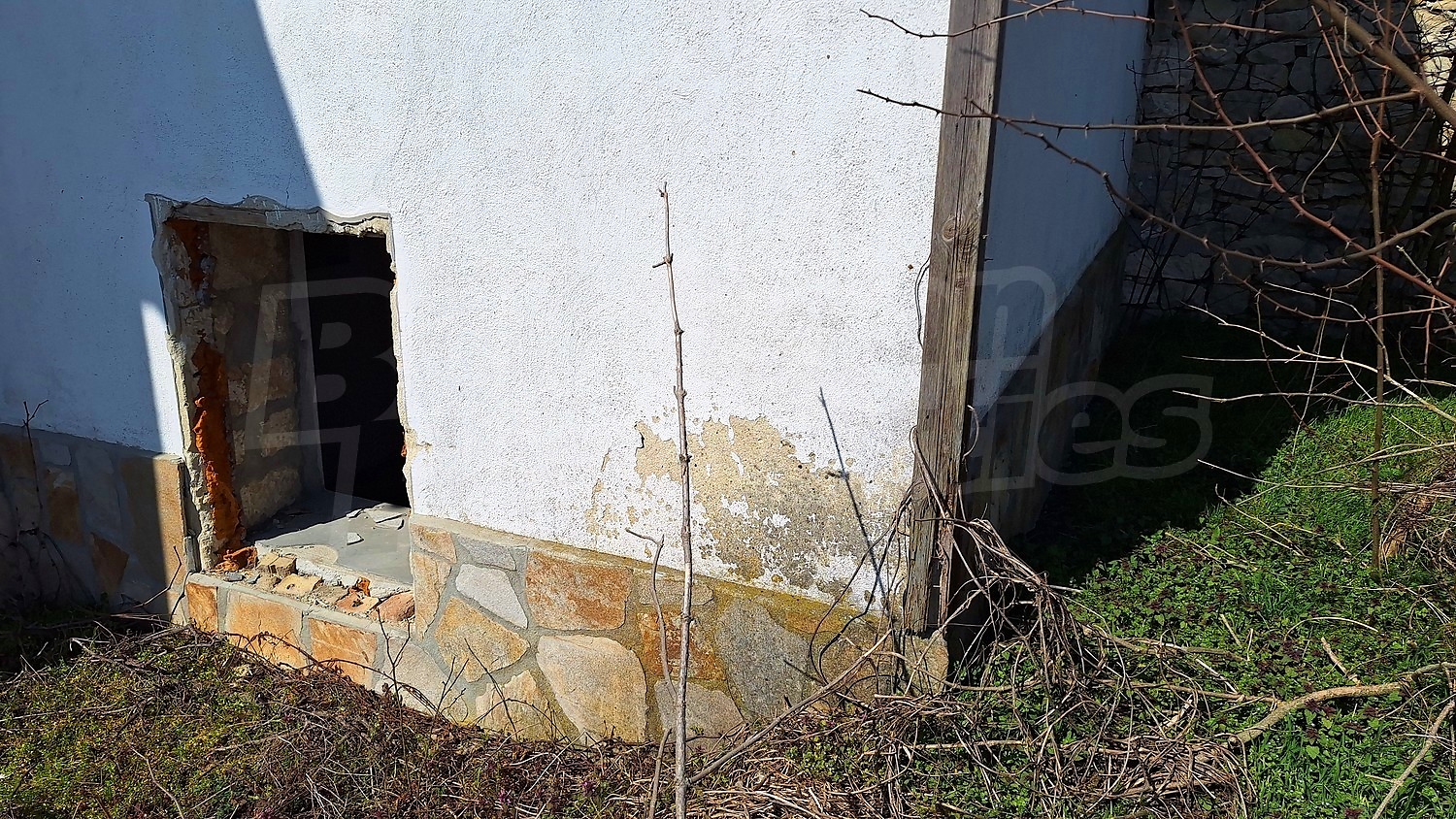 Gallery Picture 28