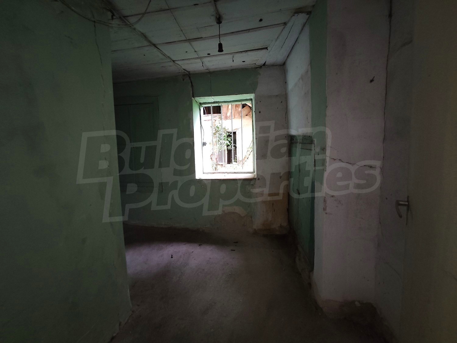 Gallery Picture 25