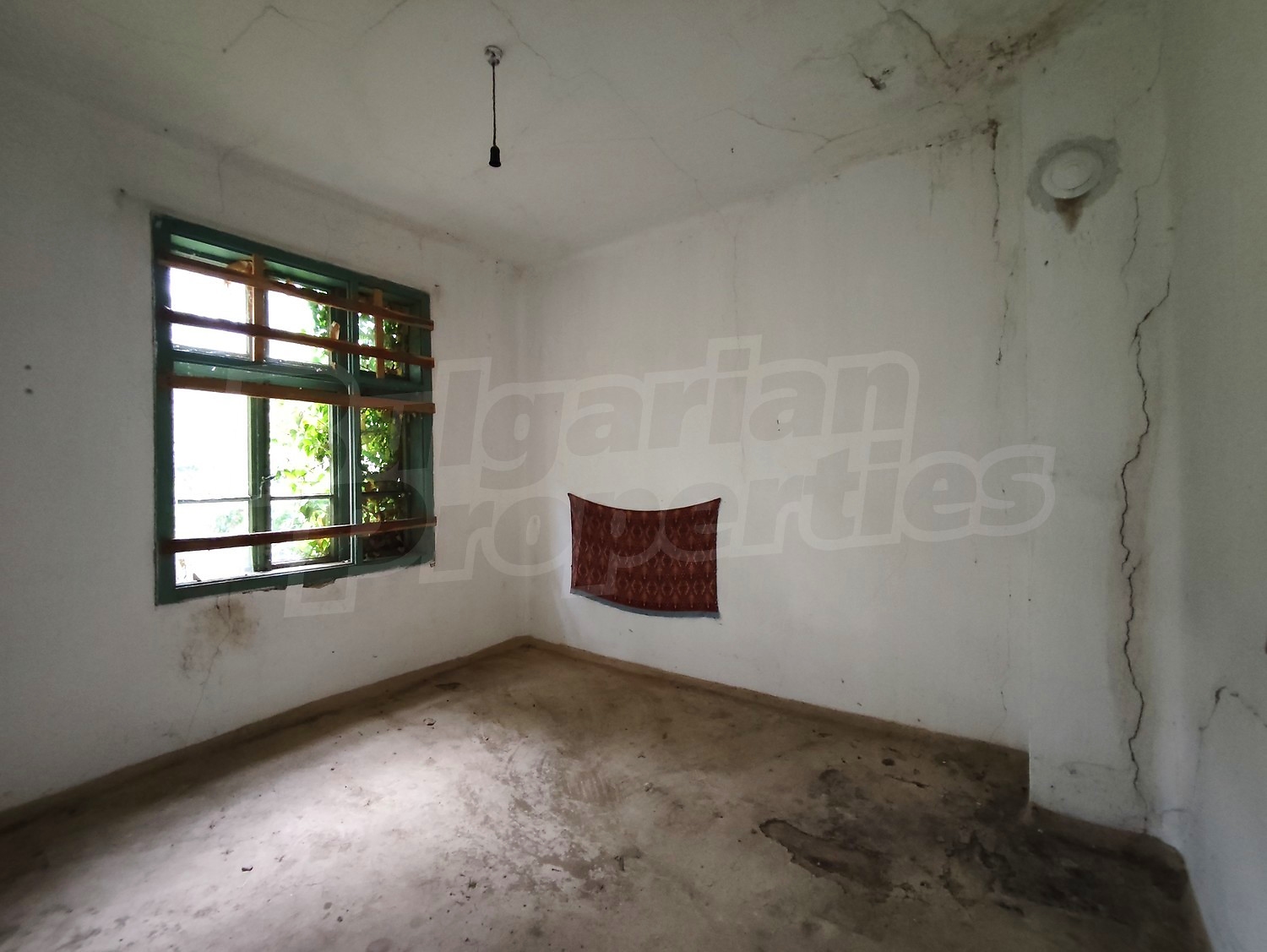 Gallery Picture 40