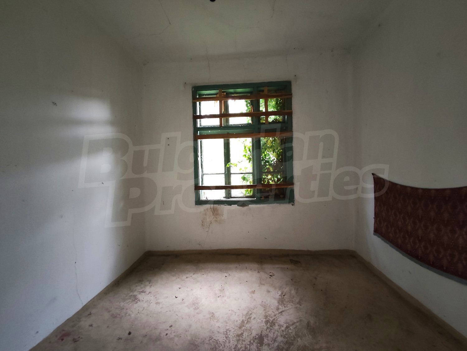 Gallery Picture 41