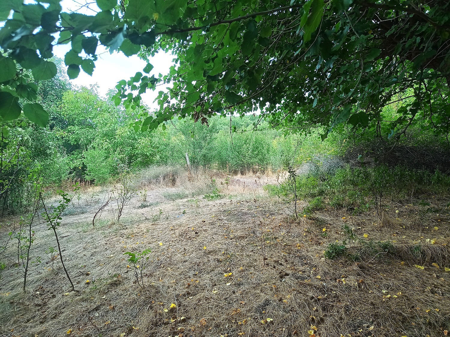 Gallery Picture 7
