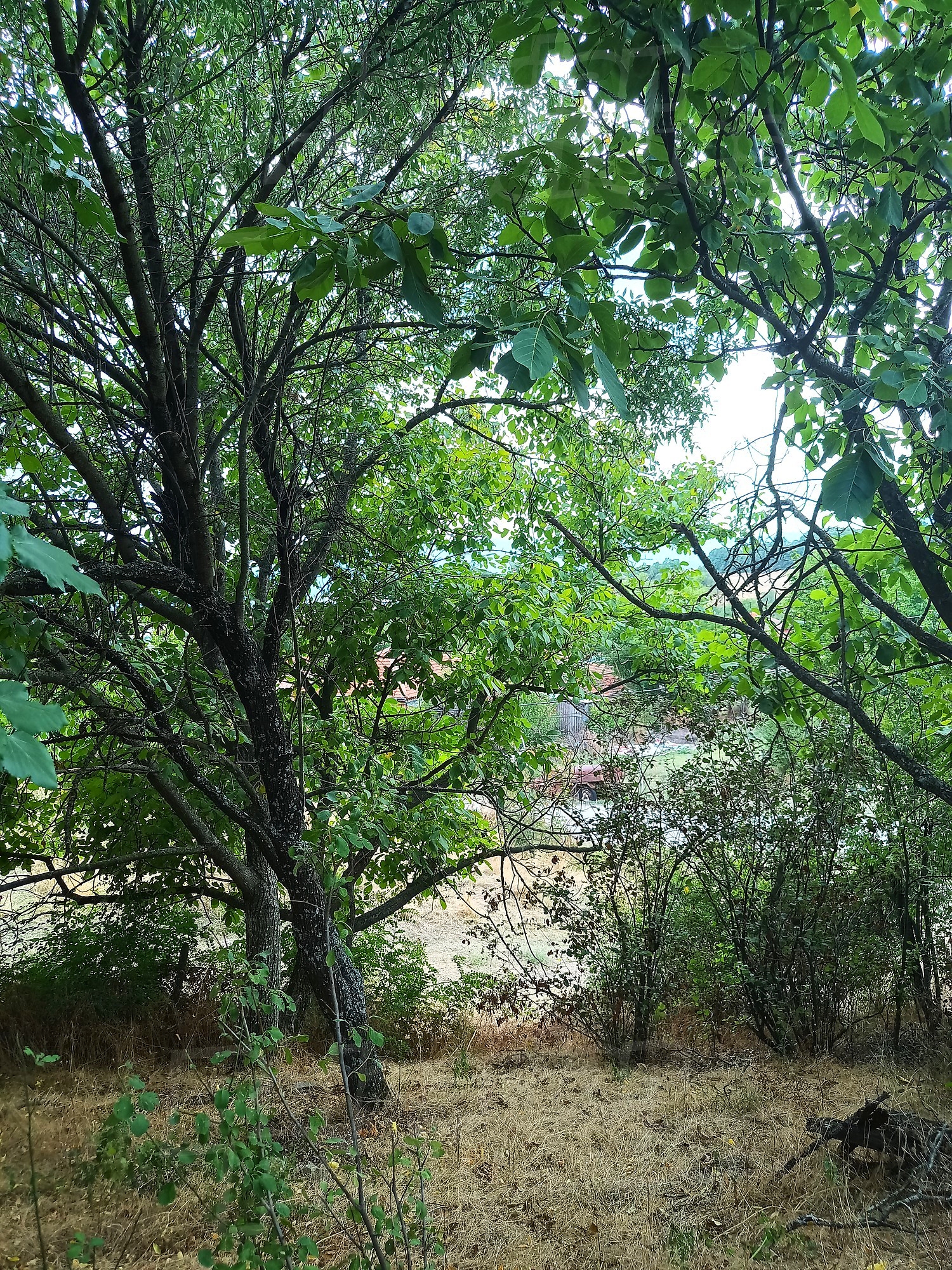 Gallery Picture 6