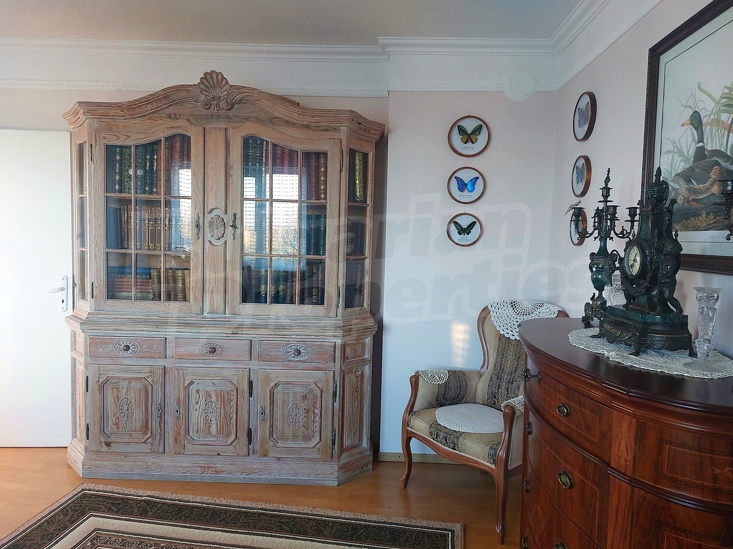 Gallery Picture 27