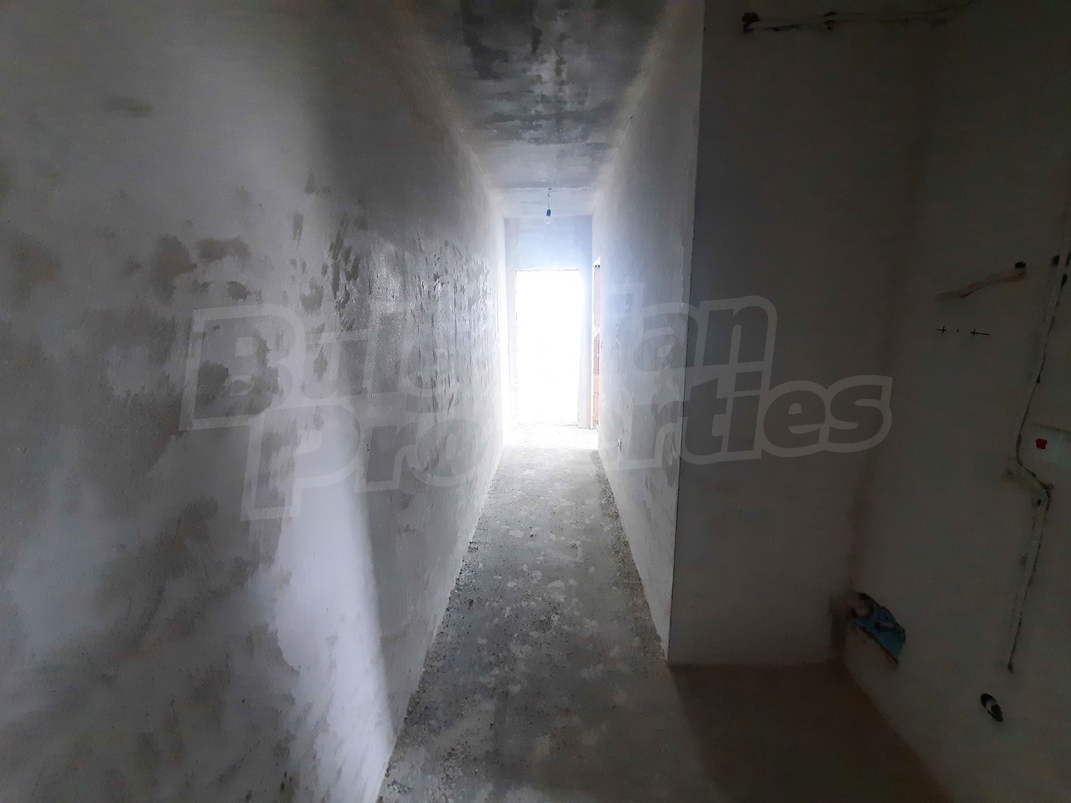 Gallery Picture 11