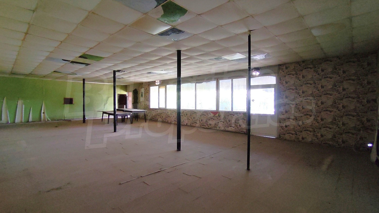 Gallery Picture 2