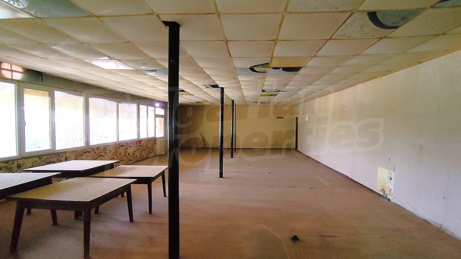 Gallery Picture 3