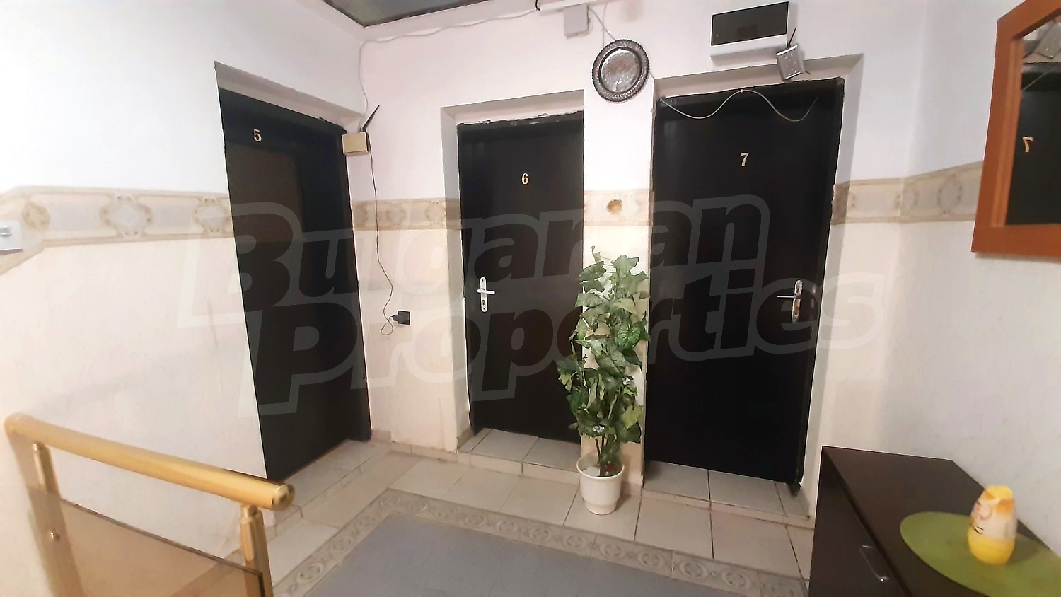 Gallery Picture 5