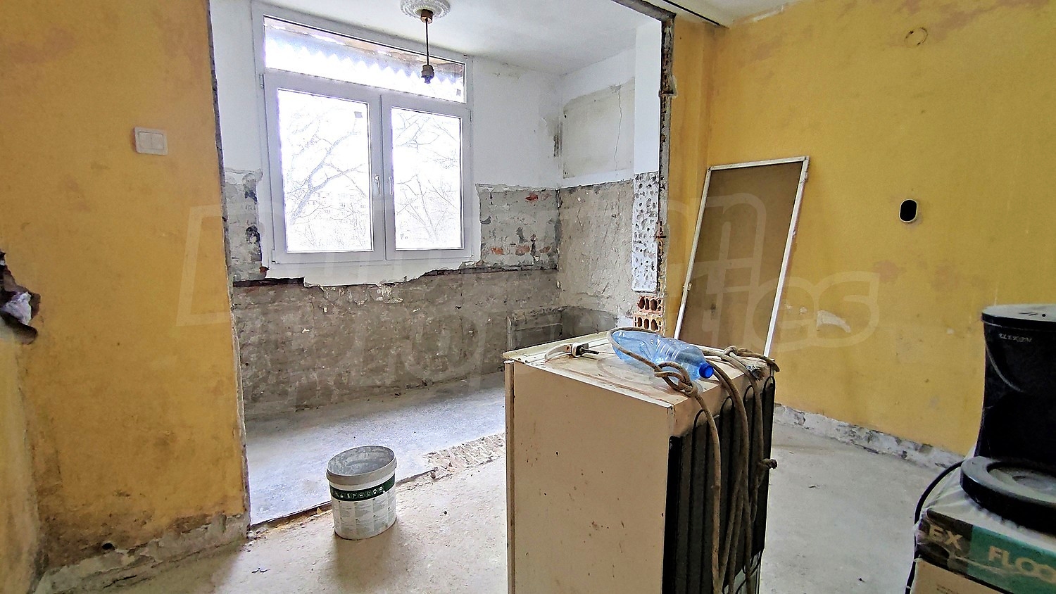 Gallery Picture 11