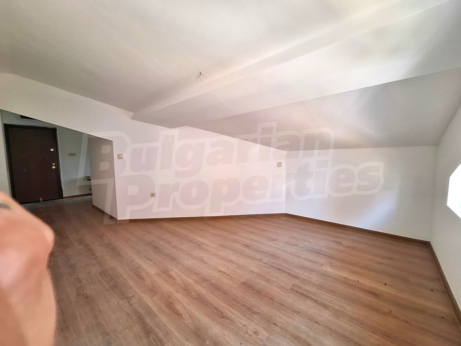 Gallery Picture 16