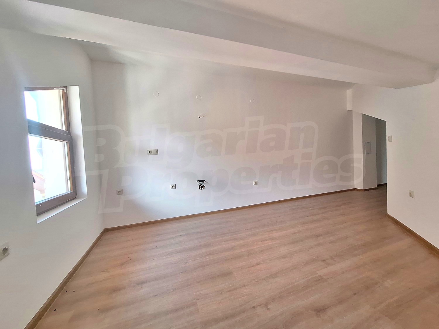 Gallery Picture 17