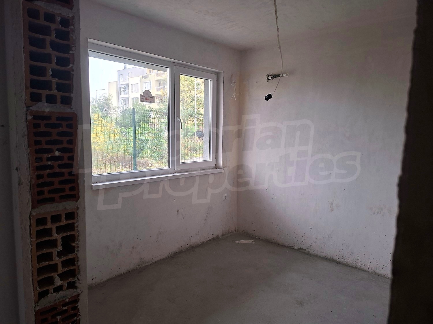 Gallery Picture 19