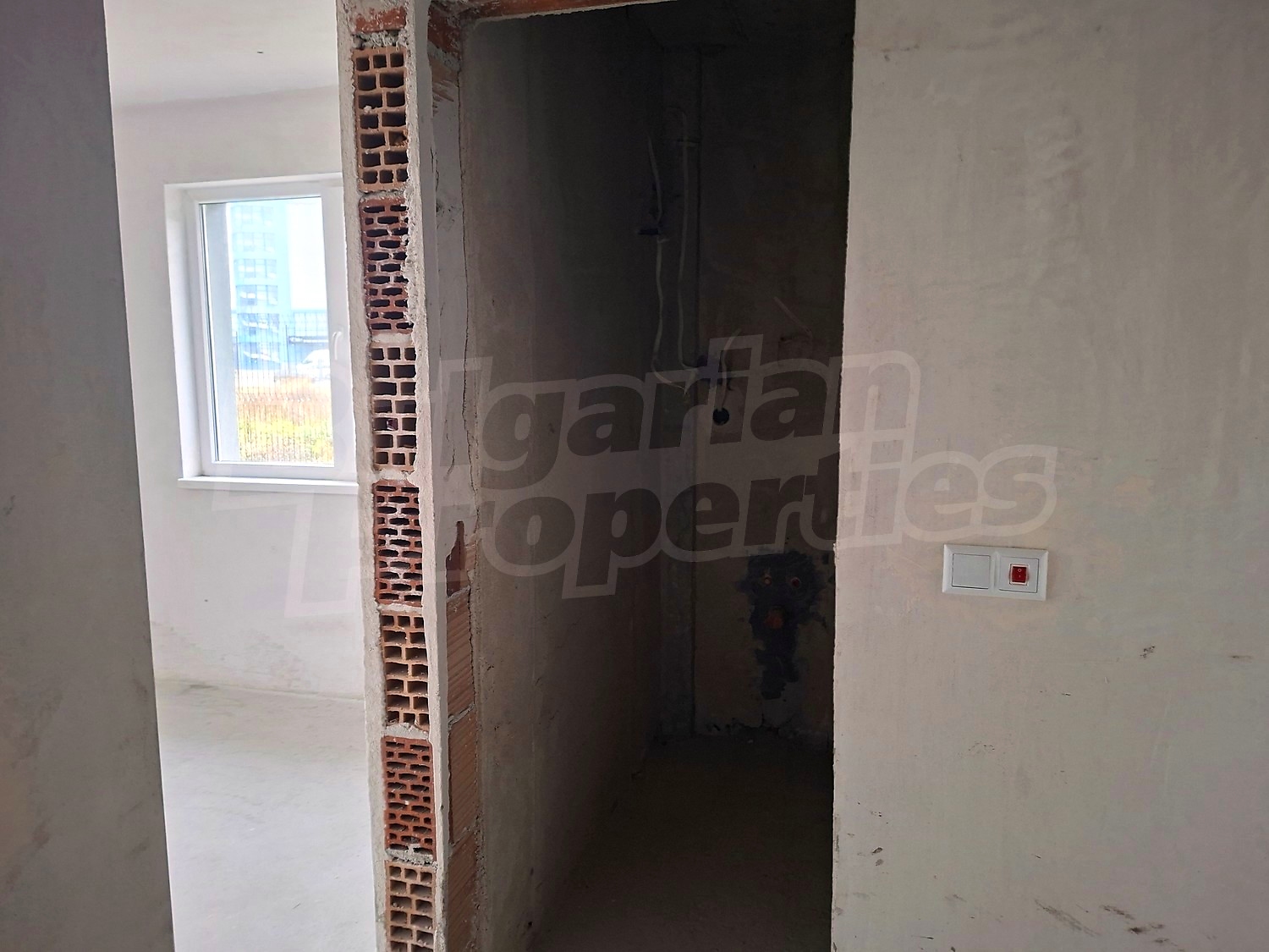Gallery Picture 27