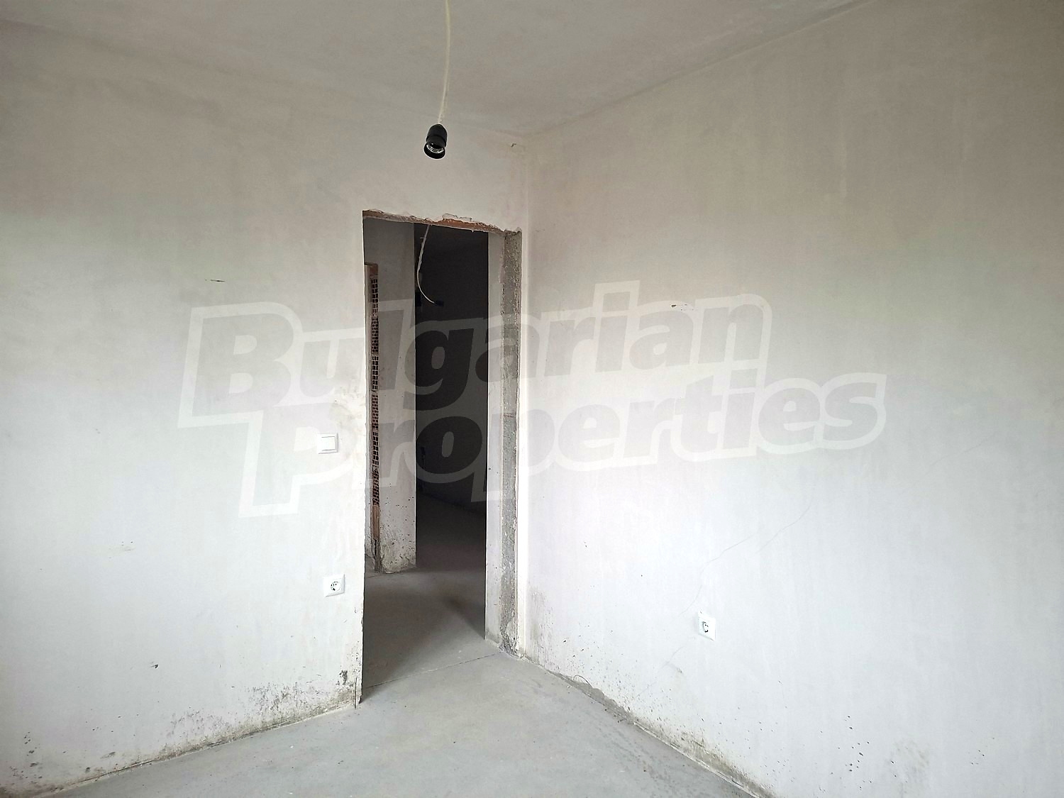 Gallery Picture 29