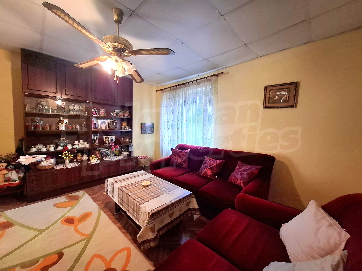 Gallery Picture 14