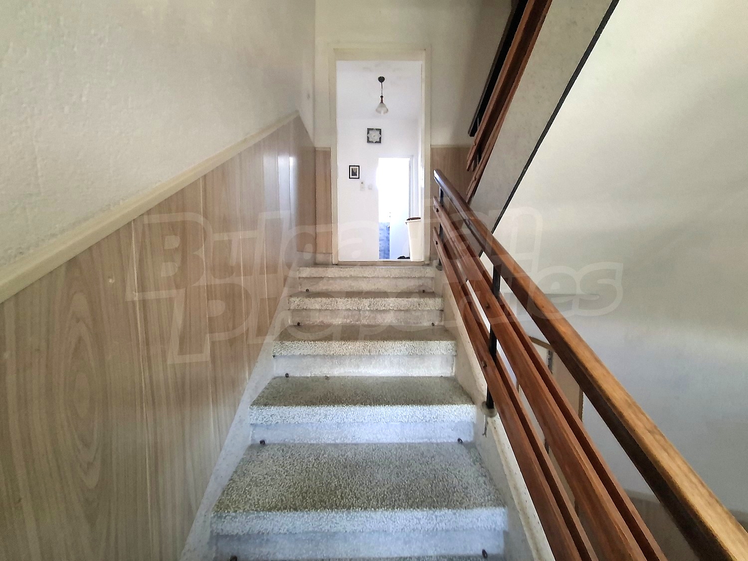 Gallery Picture 14
