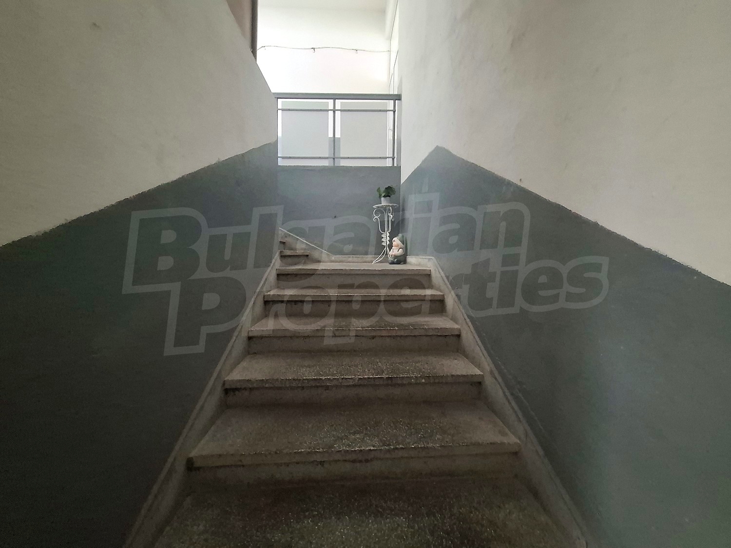 Gallery Picture 21