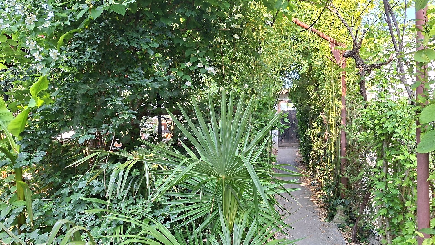 Gallery Picture 18