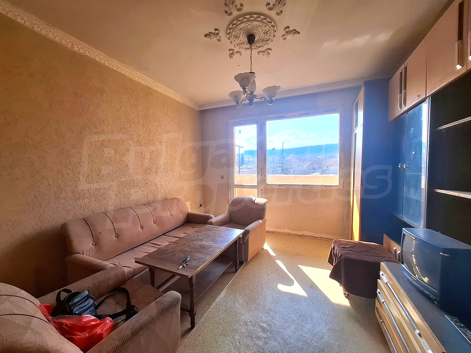 Gallery Picture 13