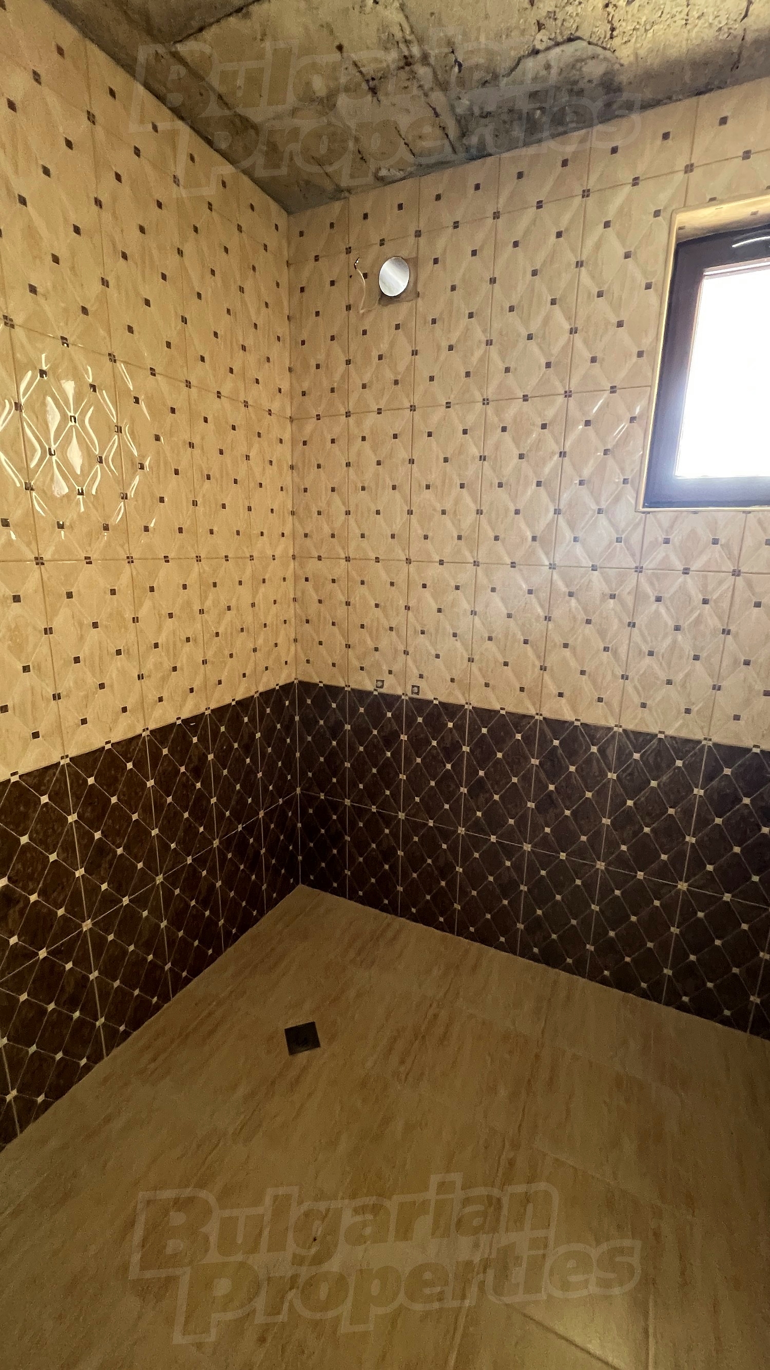 Gallery Picture 18