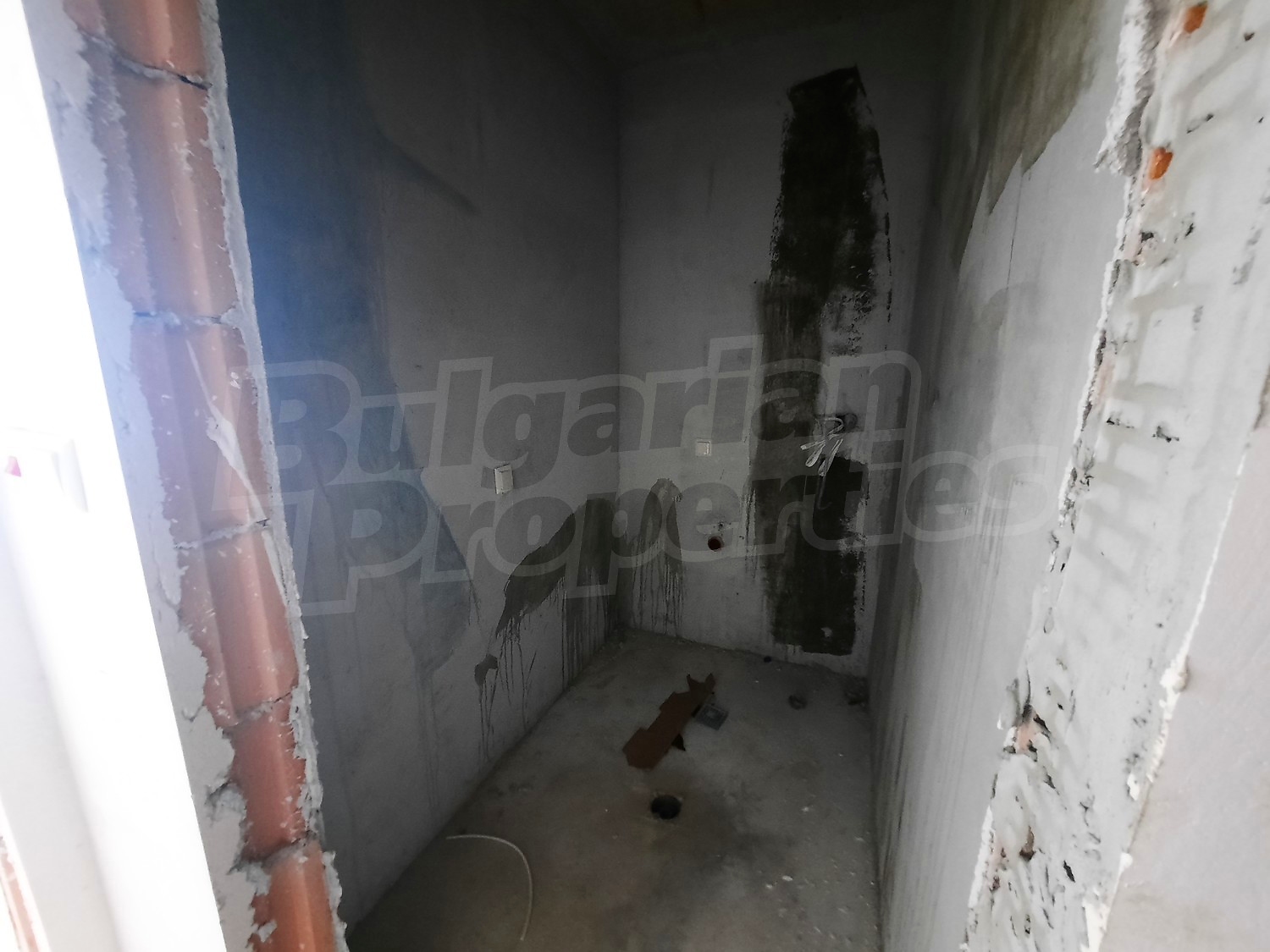 Gallery Picture 21