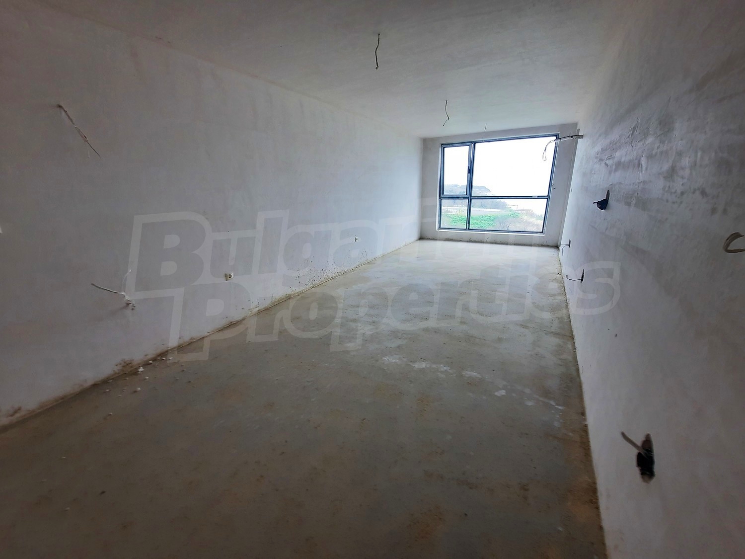 Gallery Picture 6