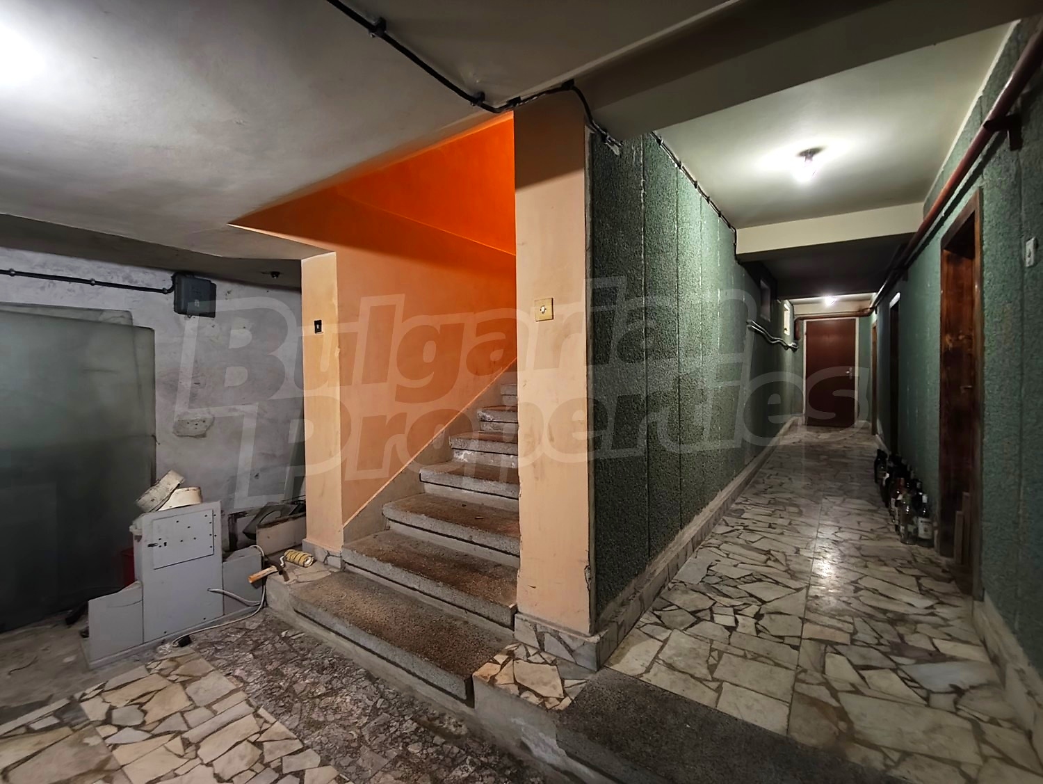 Gallery Picture 54