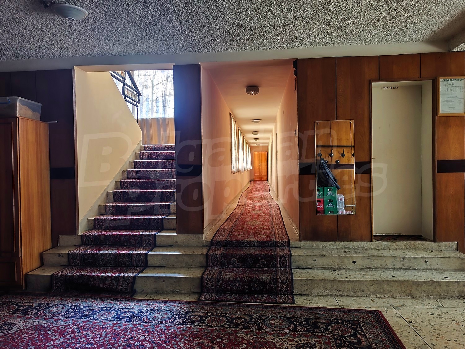 Gallery Picture 41