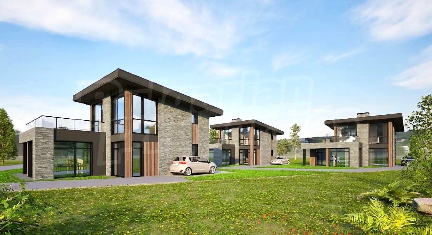 Gallery Picture 2