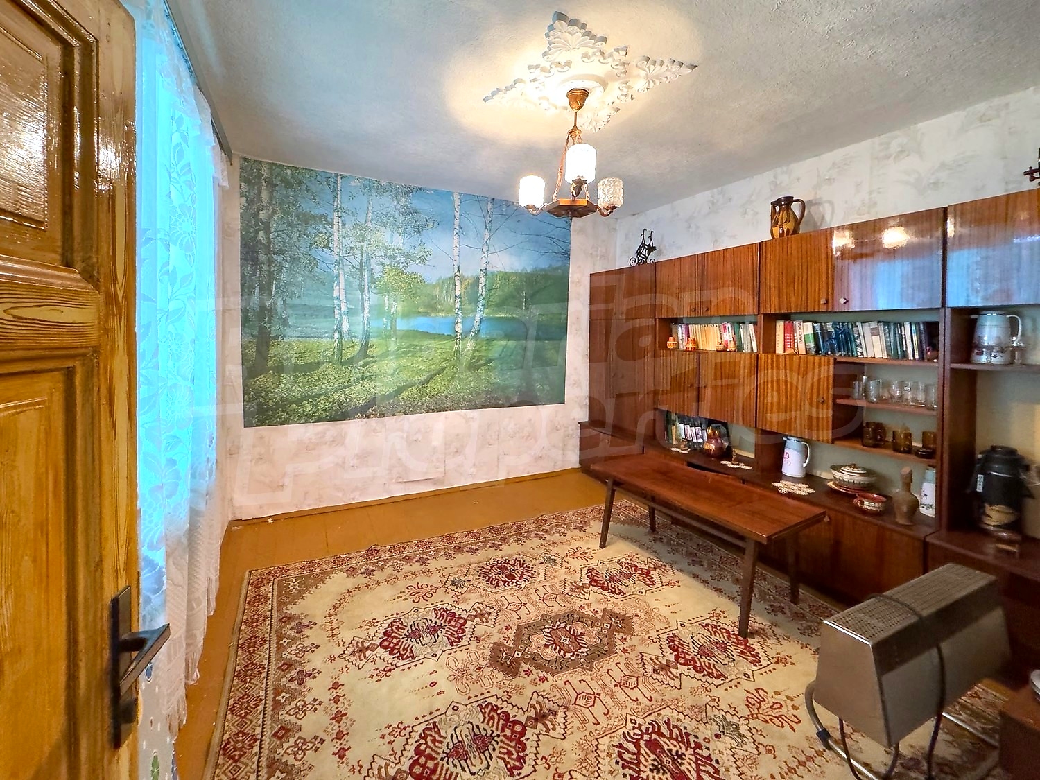 Gallery Picture 11