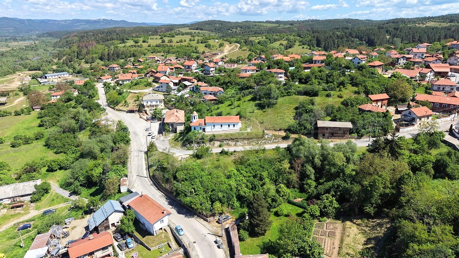 Gallery Picture 13