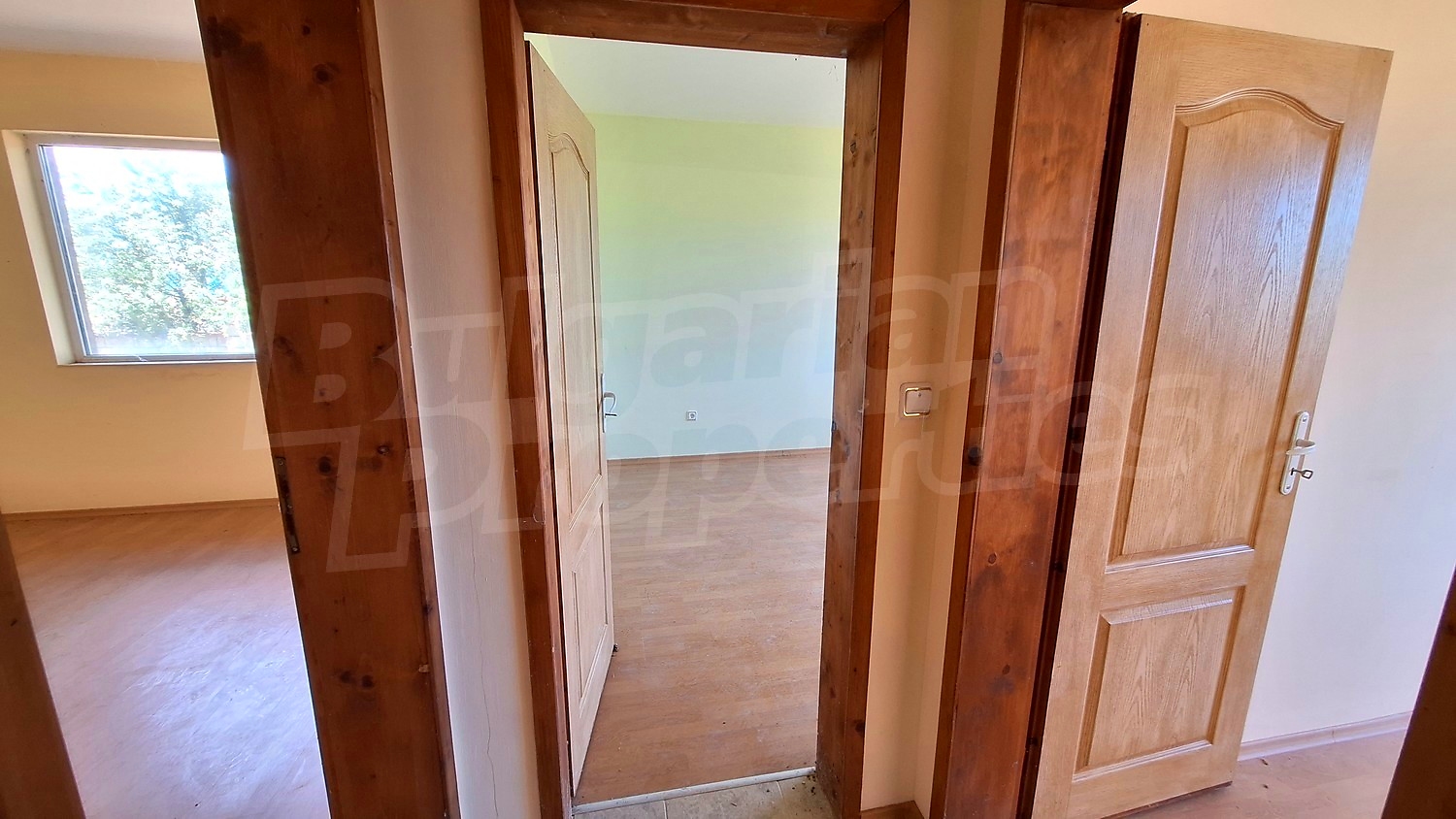 Gallery Picture 19