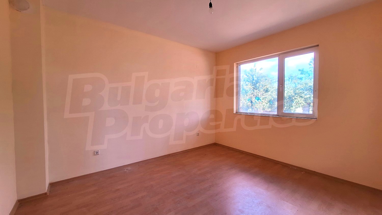 Gallery Picture 10