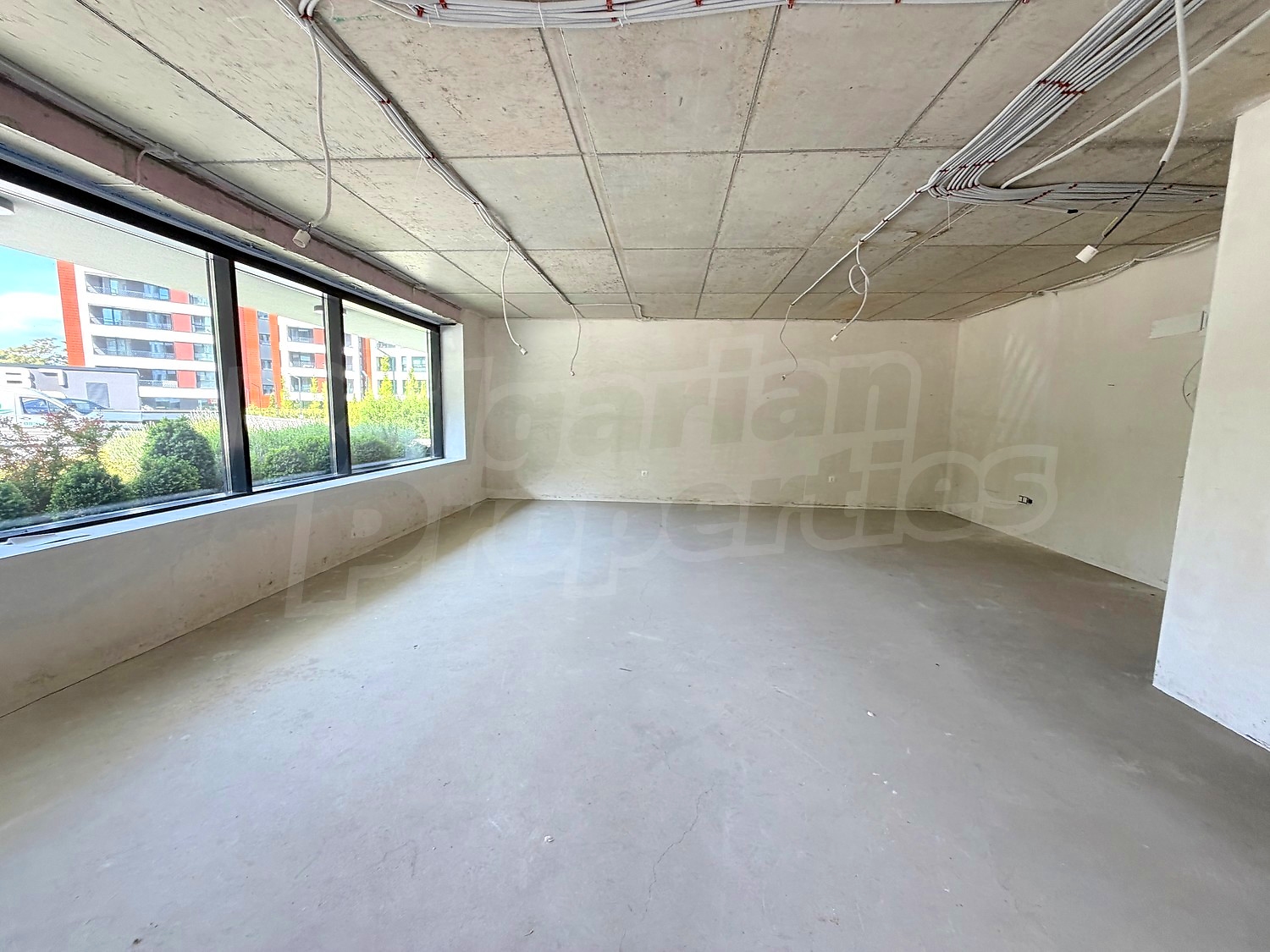 Gallery Picture 7