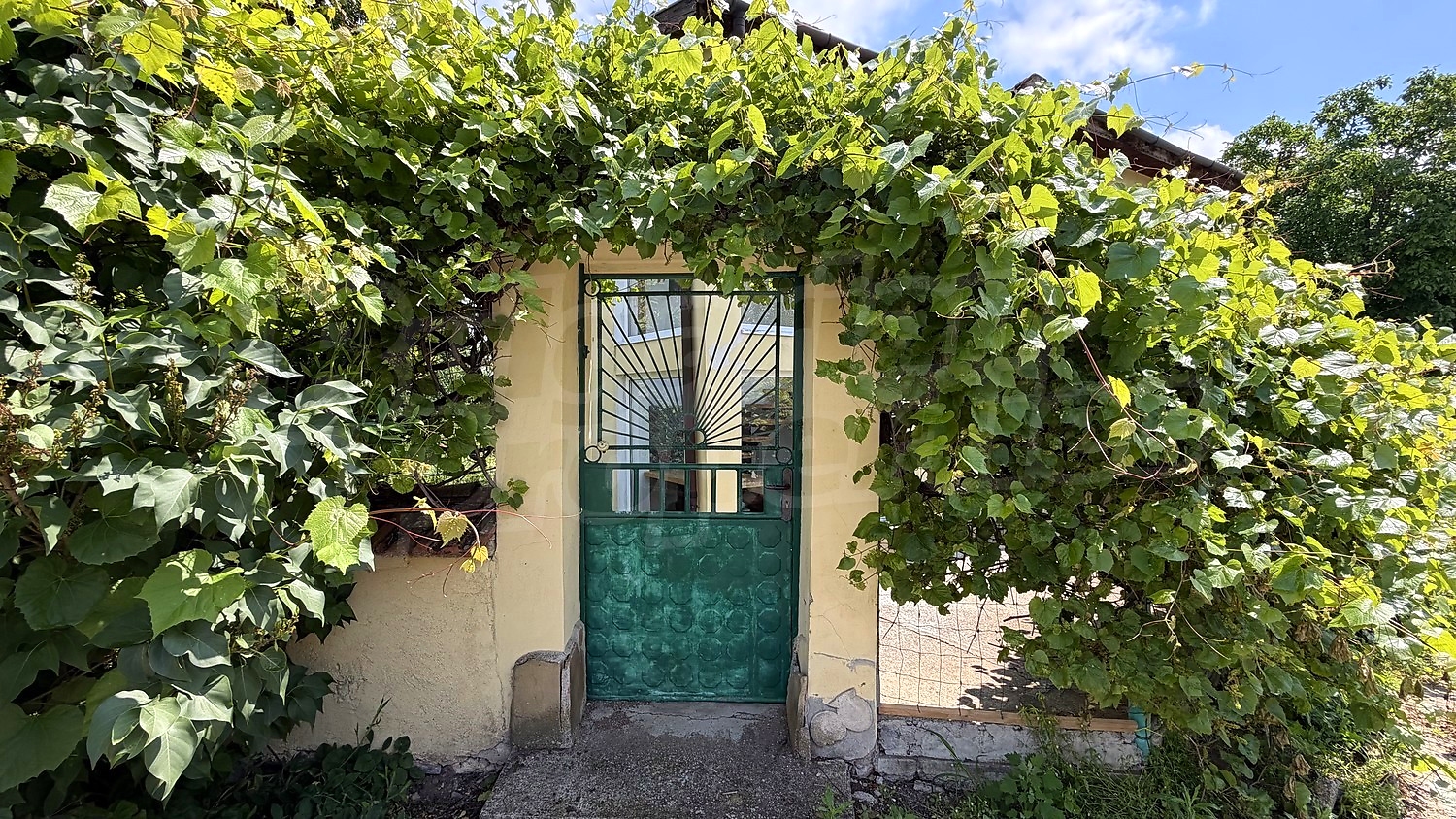Gallery Picture 60