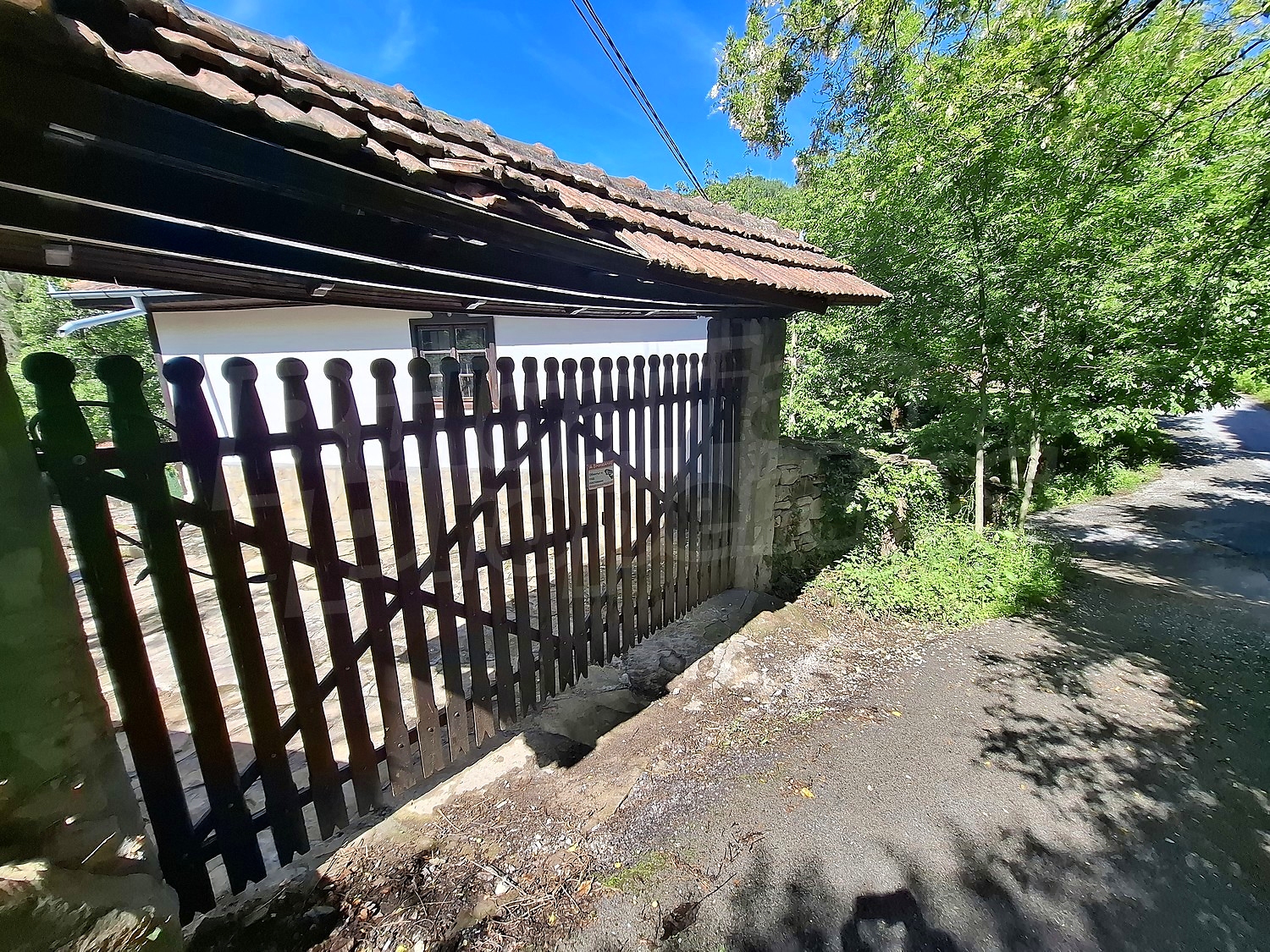 Gallery Picture 36
