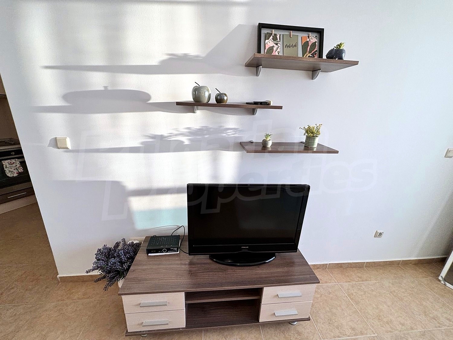 Gallery Picture 11