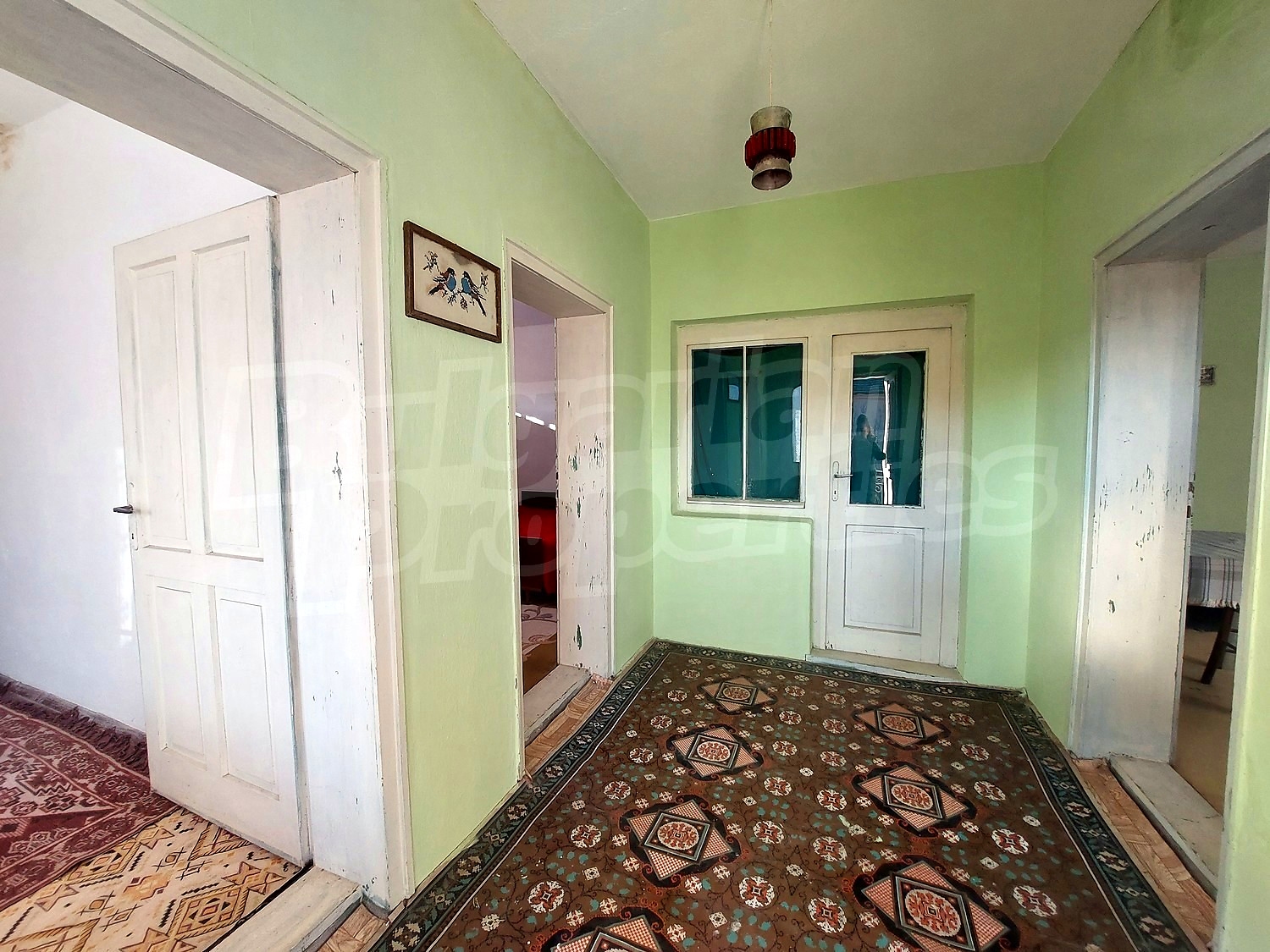 Gallery Picture 26